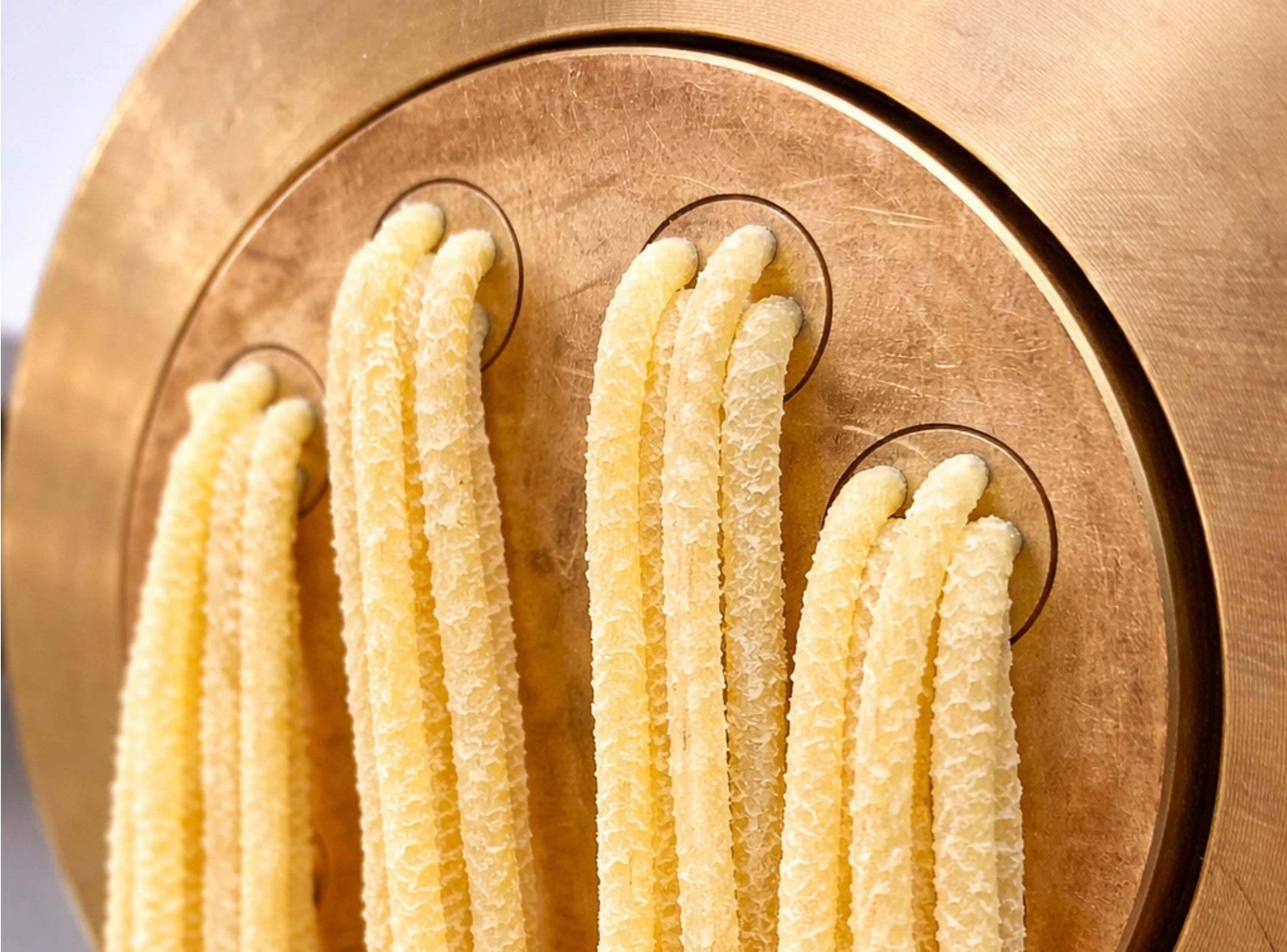 Quaranta Gusto Pasta al bronzo – Pressen der Pasta durch klassische Bronzeformen