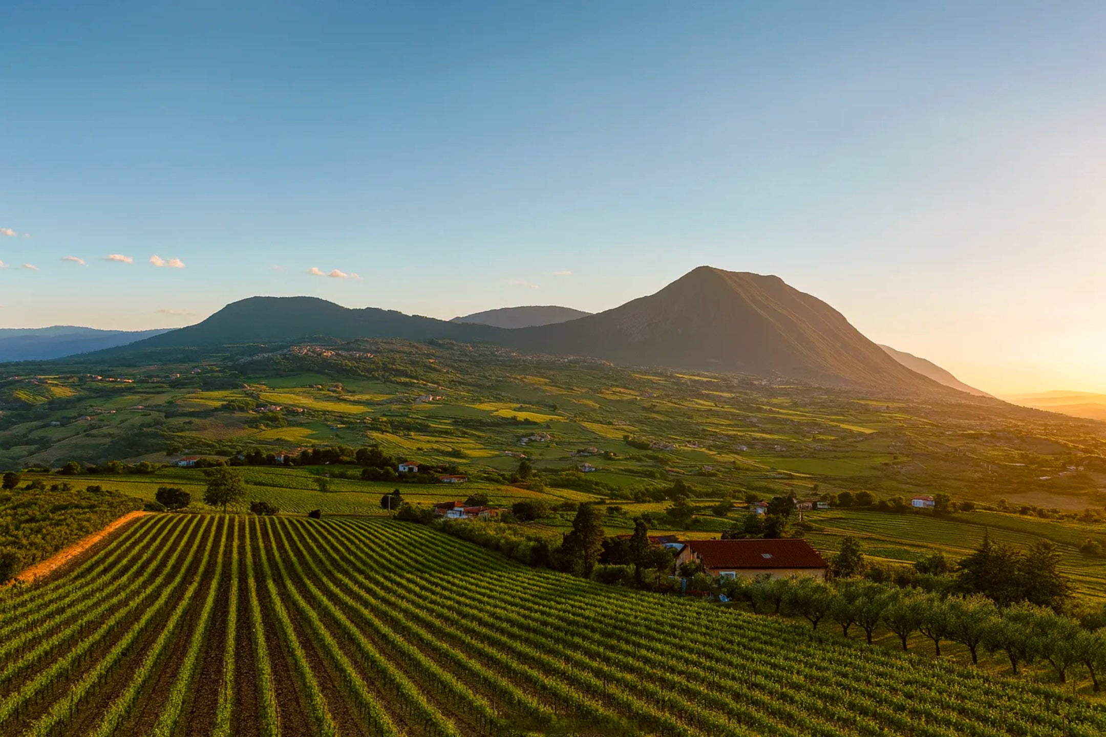 Landschaft und Weinberge des Sannio in Benevento – Herkunft der Santiquaranta Weine
