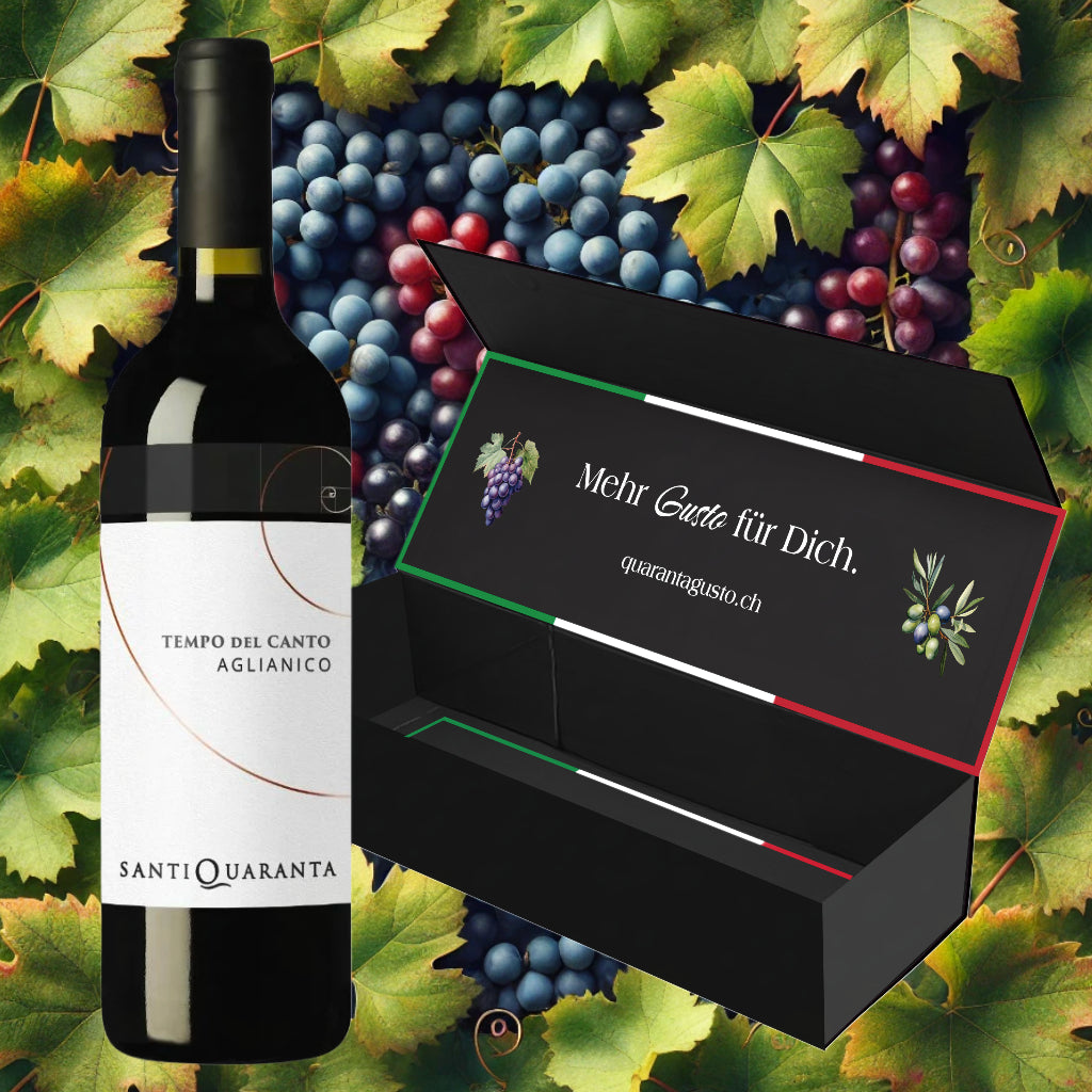 Santiquaranta Vini „Tempo del Canto“ Aglianico del Taburno DOCG 2020