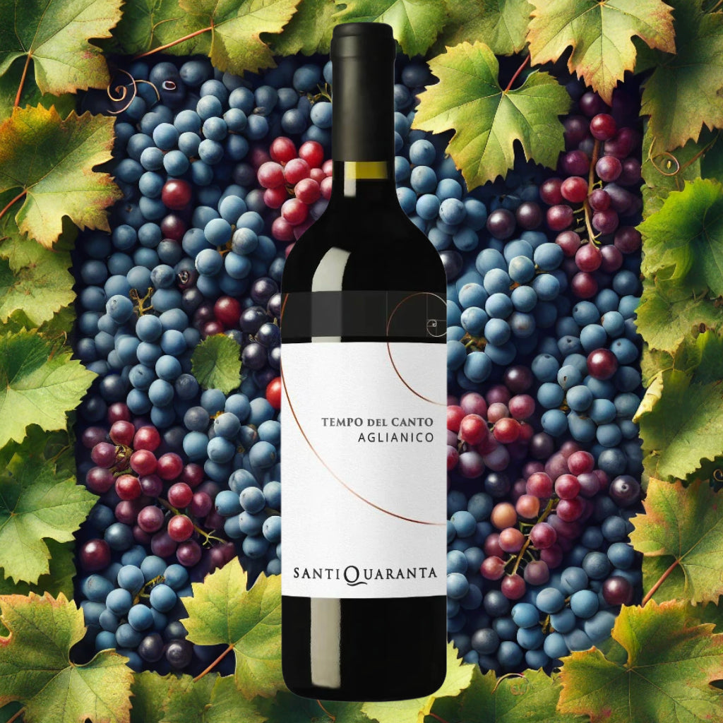 Santiquaranta Vini „Tempo del Canto“ Aglianico del Taburno DOCG 2020