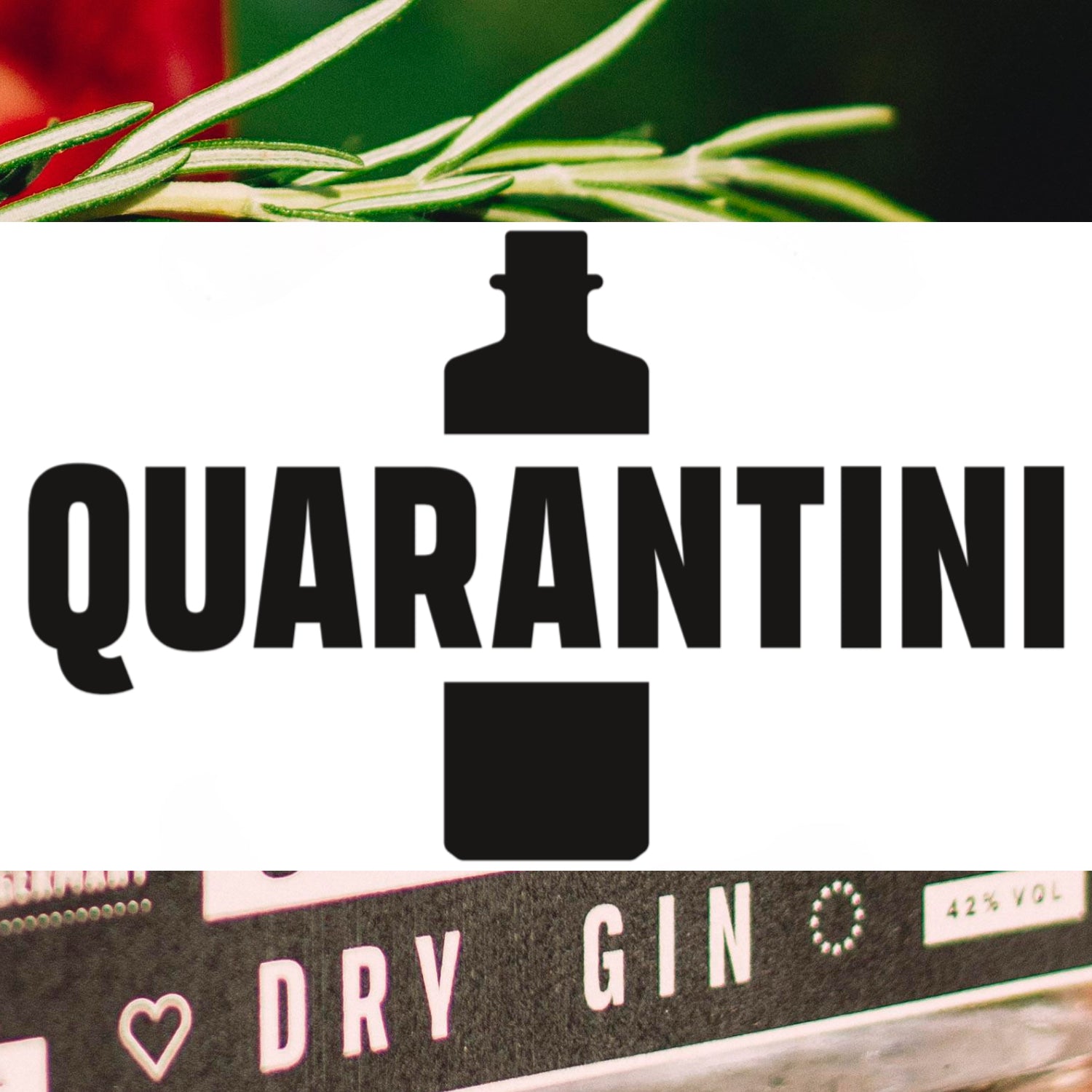 Quarantini Gin